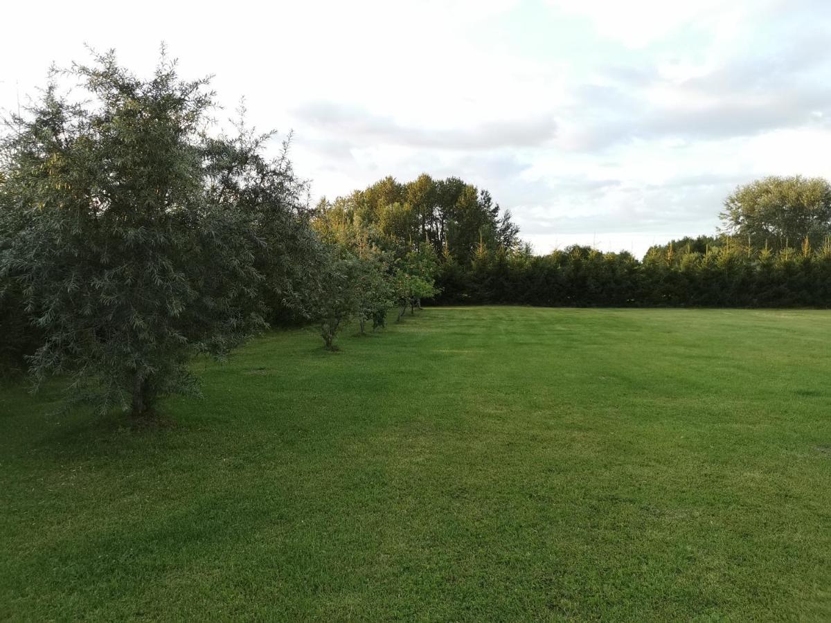 Kuuseoksa Holiday Home Viru-Nigula Екстер'єр фото