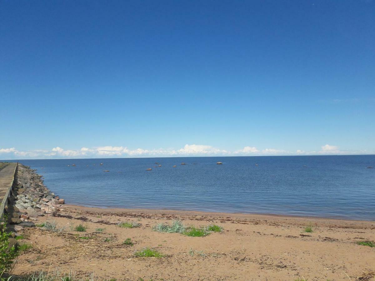 Kuuseoksa Holiday Home Viru-Nigula Екстер'єр фото